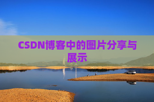 CSDN博客中的图片分享与展示
